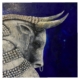 Author’s work “Bull in ultramarine”