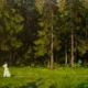 “В лесу” 1996г. х.м. 70 х 90