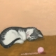 Picture 16/20 canvas stretched acrylic paint handmade original. Sleeping kitten.
